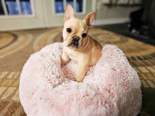 Calming Donut Bed With Removable Cover One Paw Dog Company 