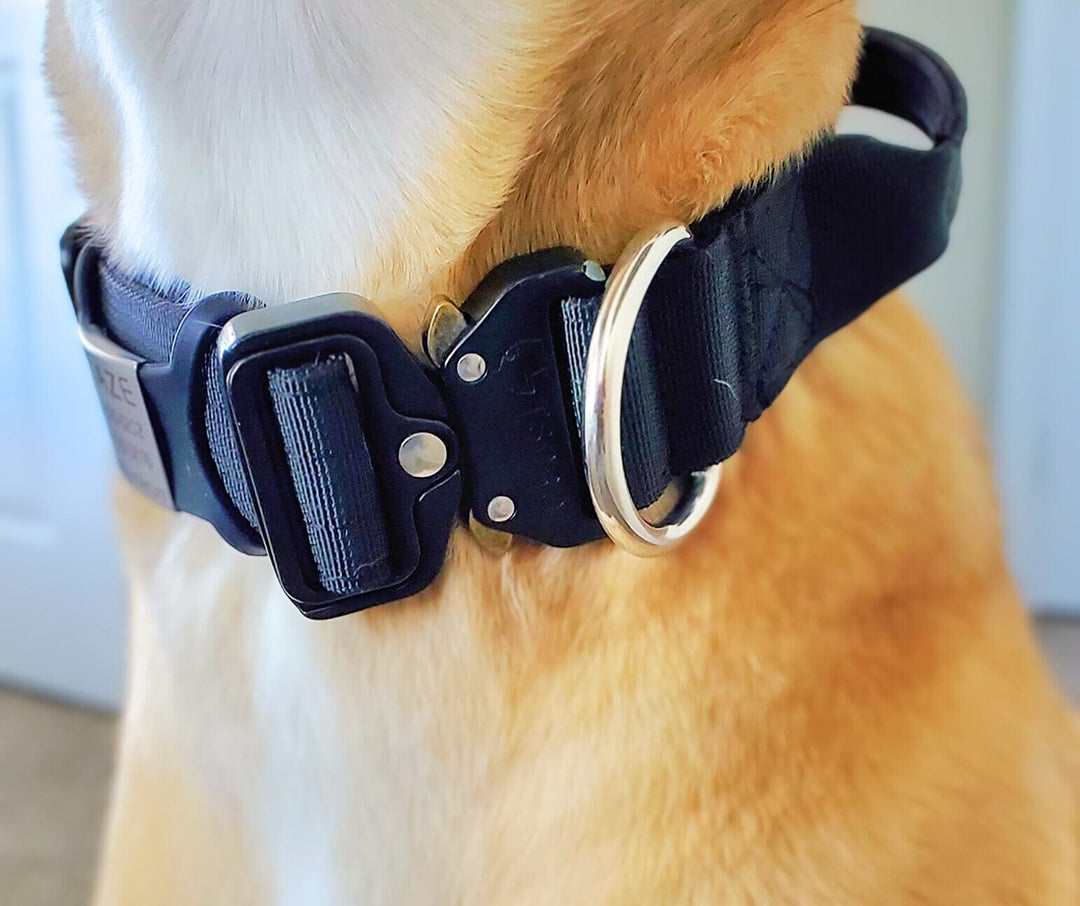 Multi Color Collar With Control Handle OnePaw Dog Company 