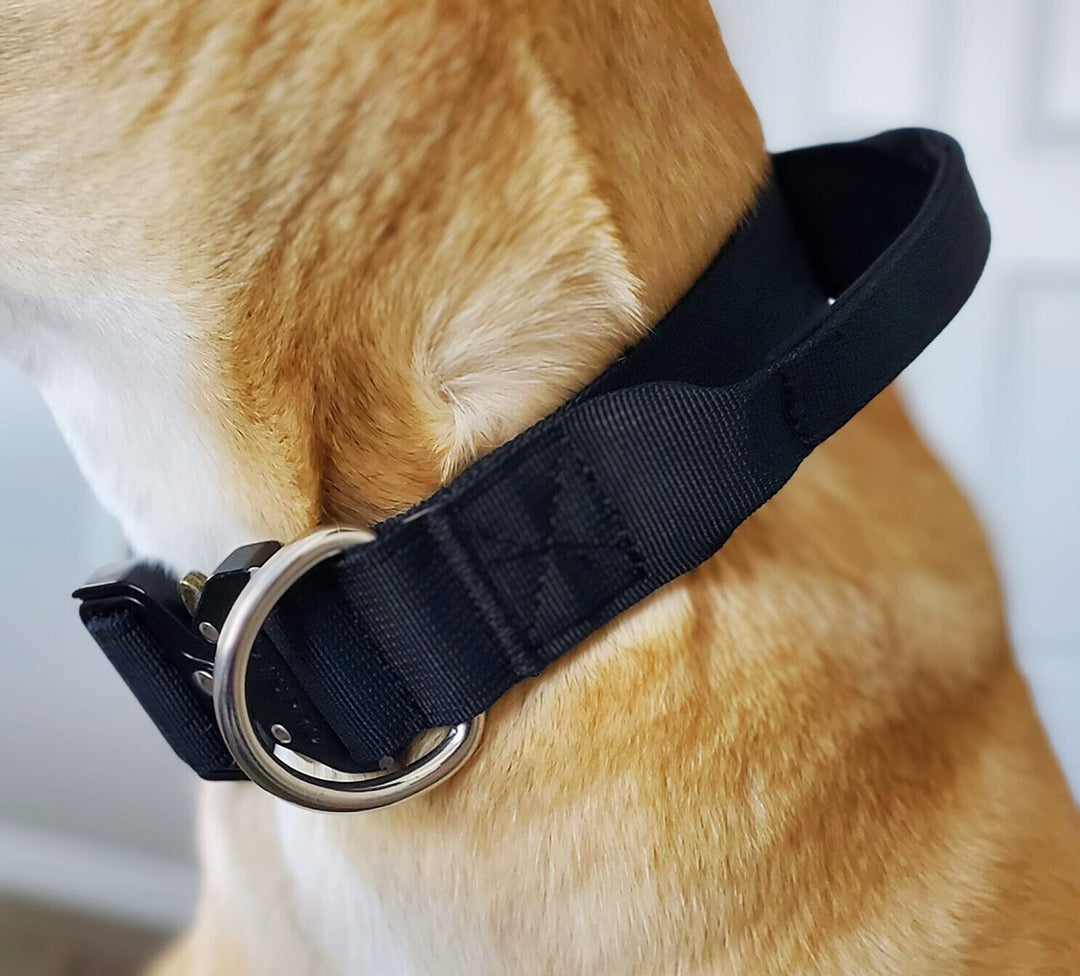 Multi Color Collar With Control Handle OnePaw Dog Company 