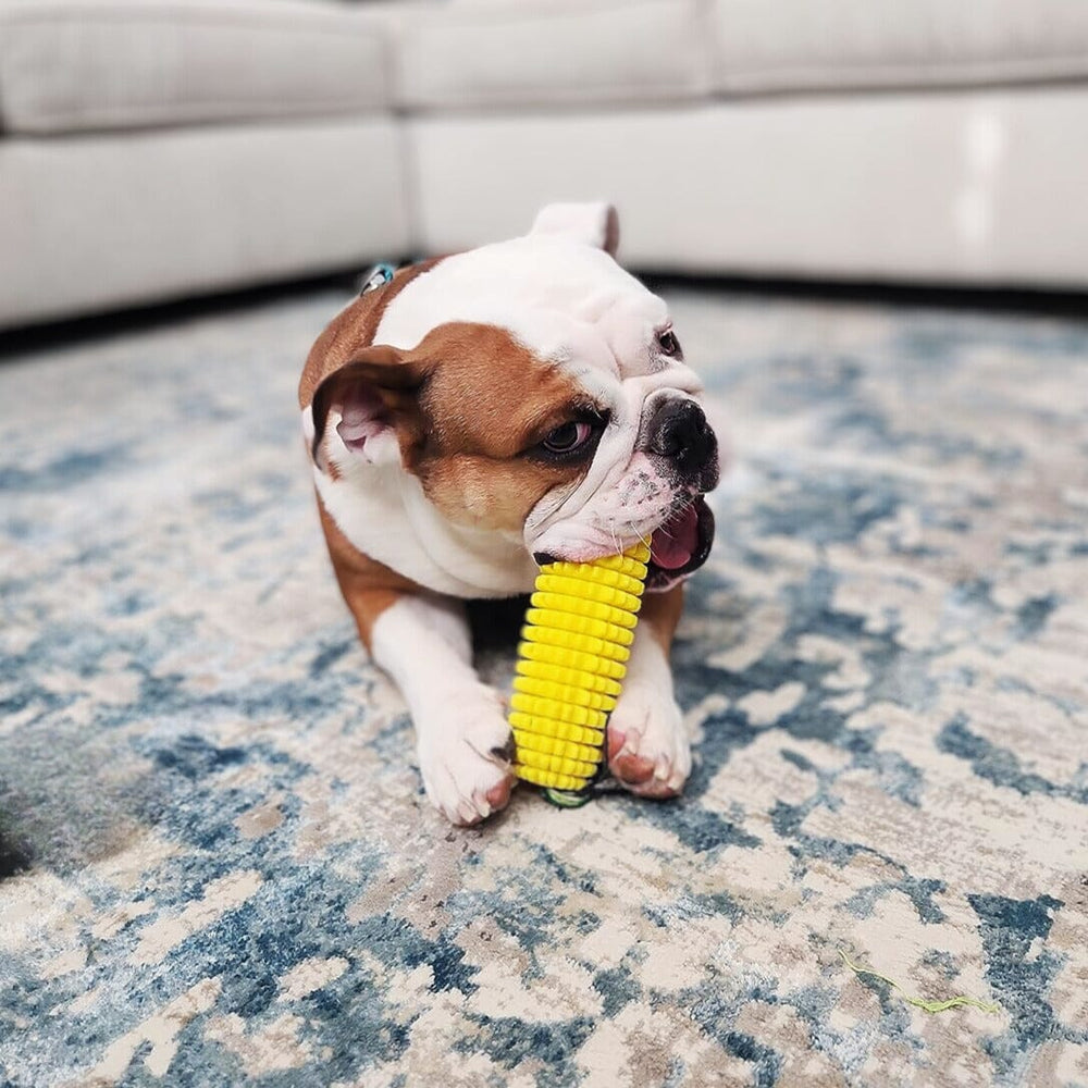 Squeaky Rubber Corn Toothbrush One Paw Dog Company 