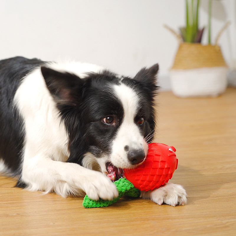 Angry Fish Chew Toy