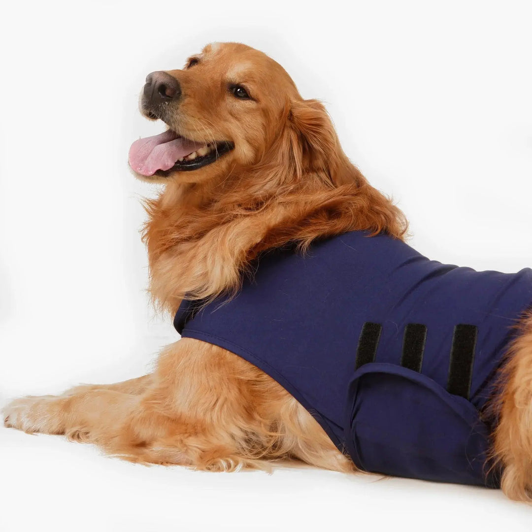 Anti stress hot sale jackets for dogs