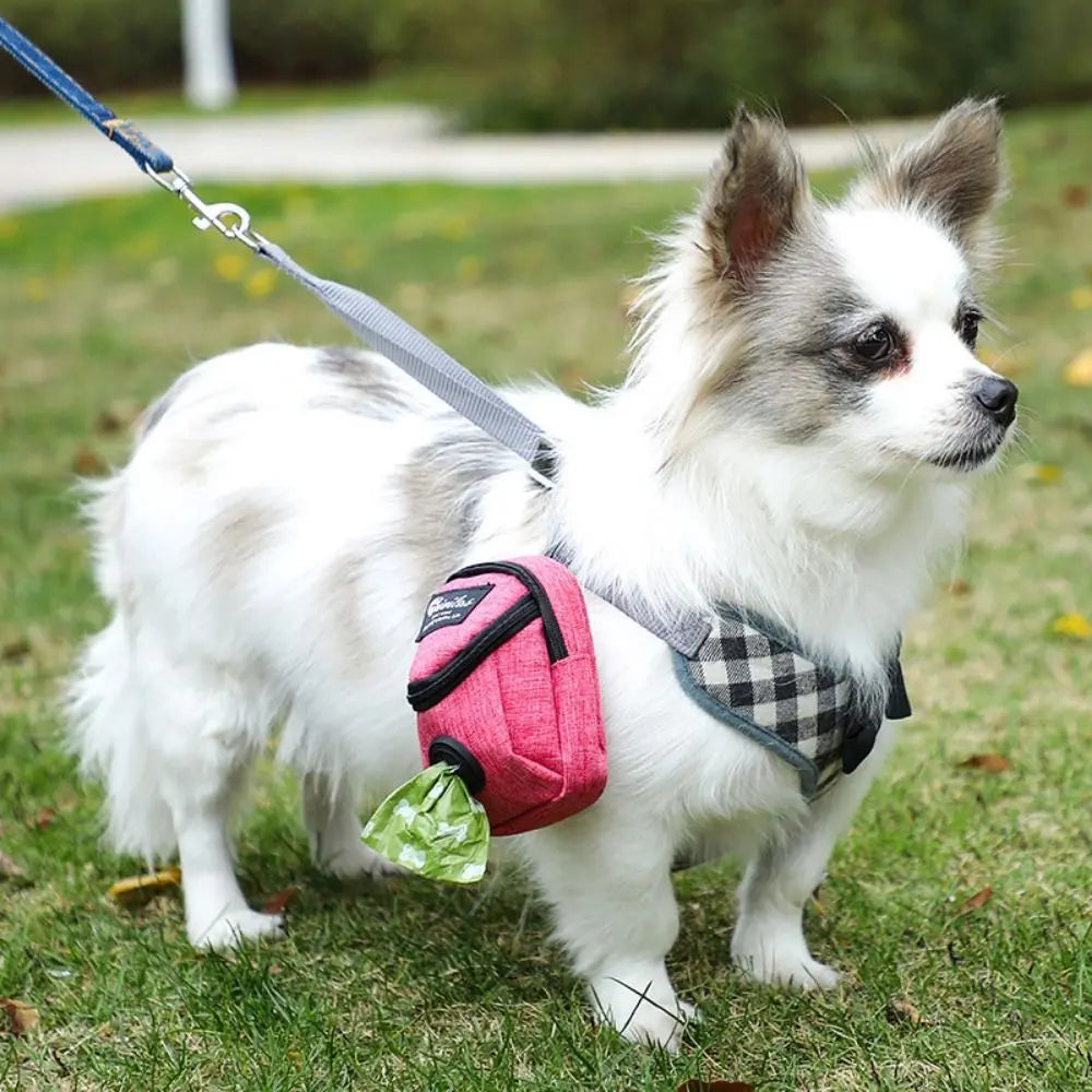 Clip-On Treat Holder & Waste Bag Pouch 