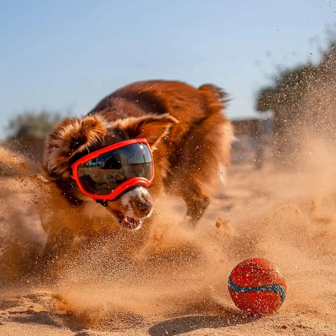 Anti UV Dog Goggles OnePaw Dog Company 