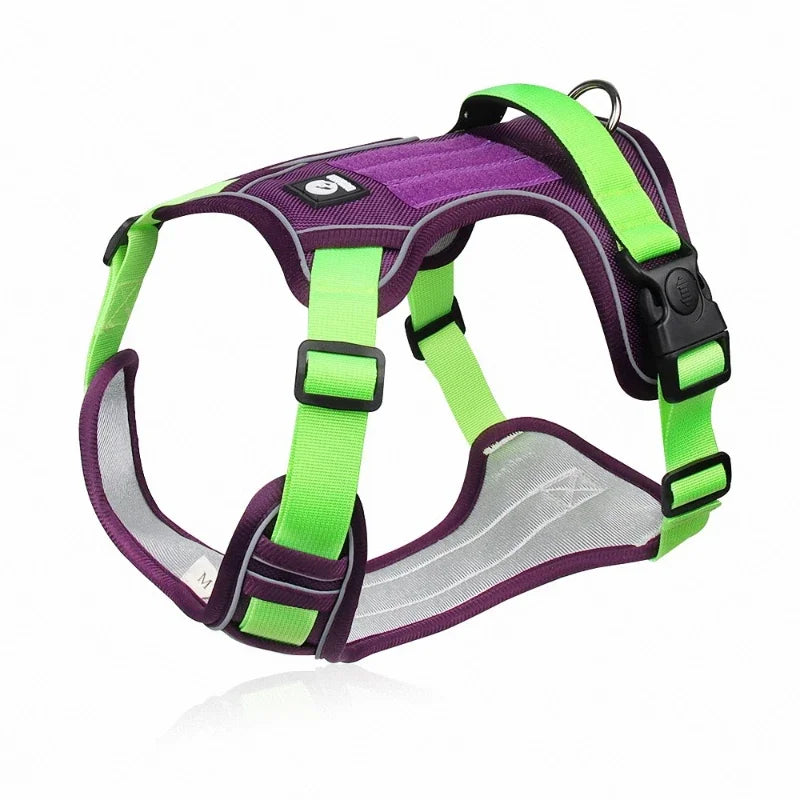 EXPLORER™ No-Pull Harness OnePaw Dog Company Green L 