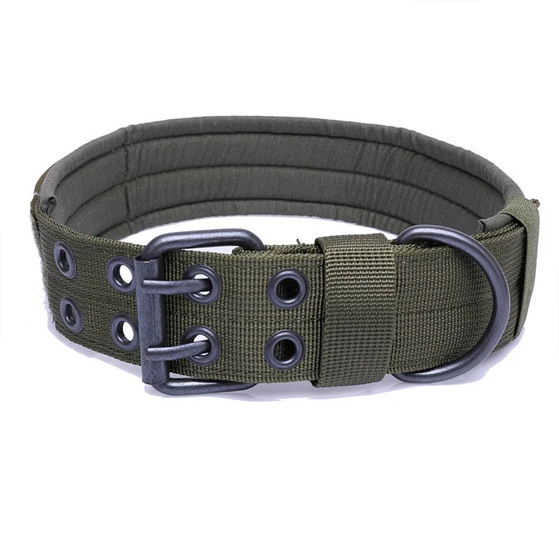 Adjustable Buckle-Up Collar One Paw Dog Company Green 14-18.8" (36-48cm) 