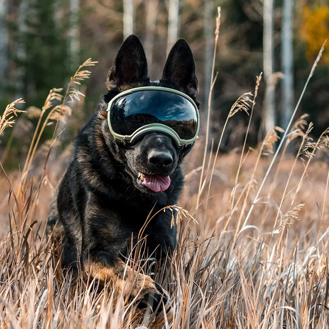 Anti UV Dog Goggles OnePaw Dog Company 