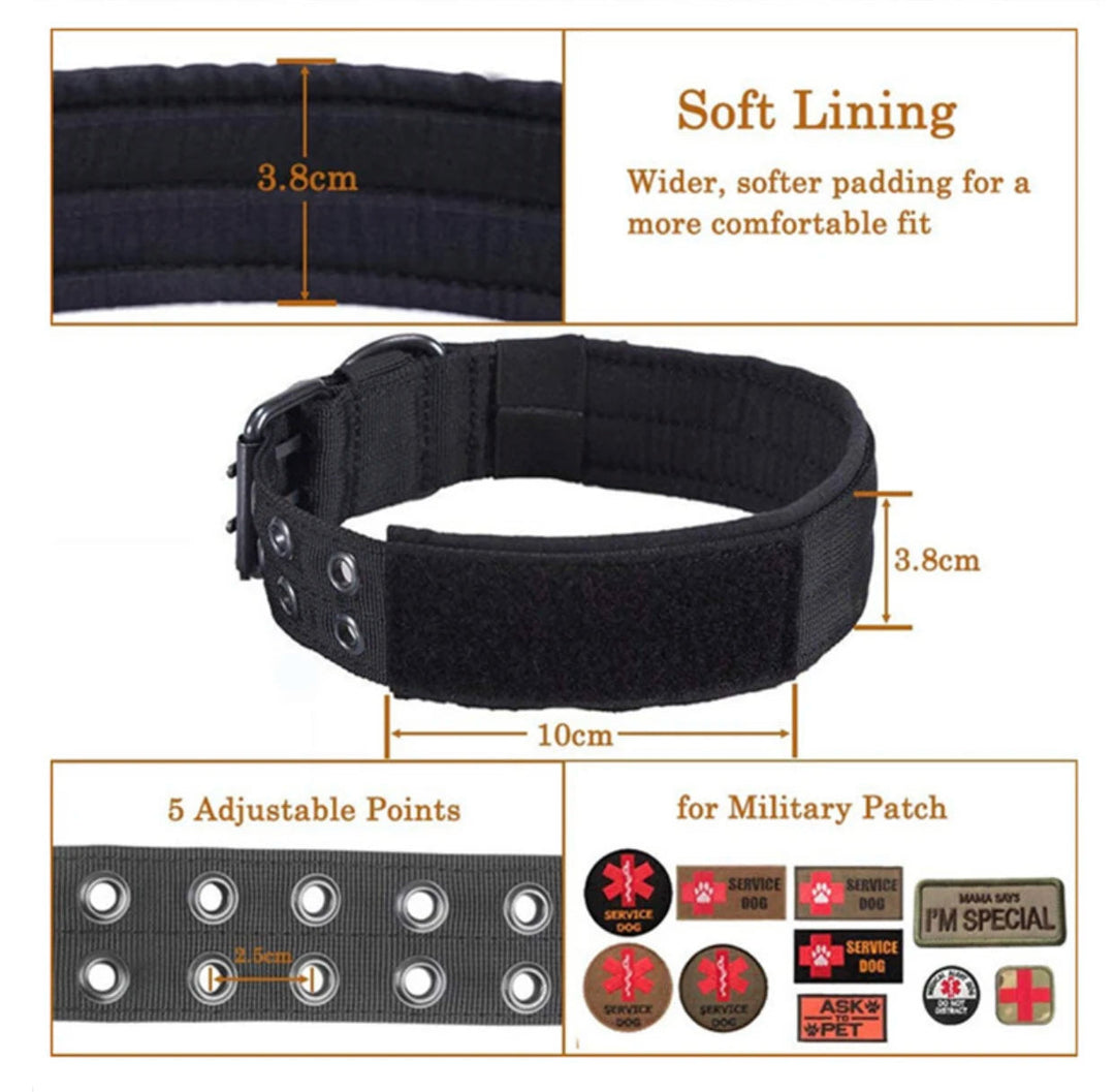 Adjustable Buckle-Up Collar One Paw Dog Company 