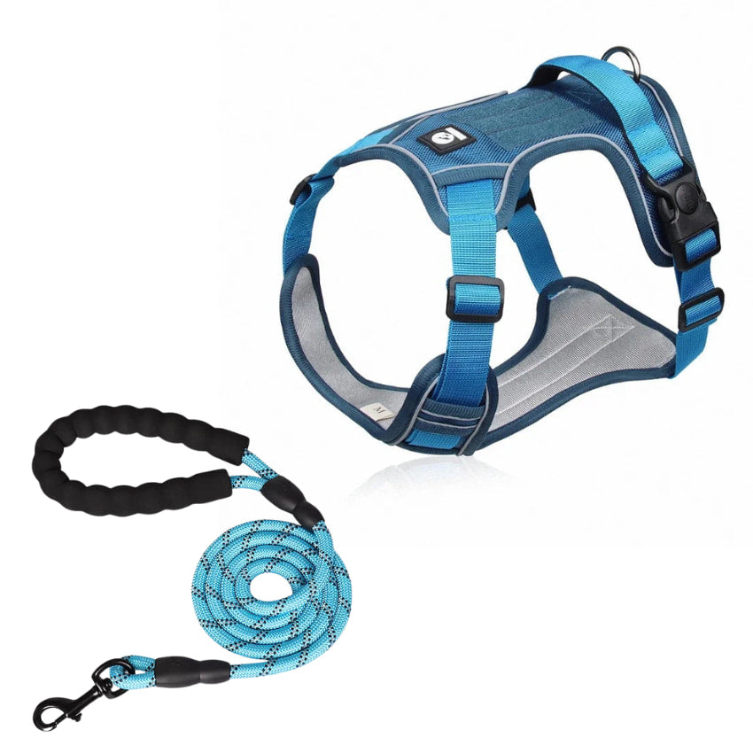 EXPLORER™ No-Pull Harness