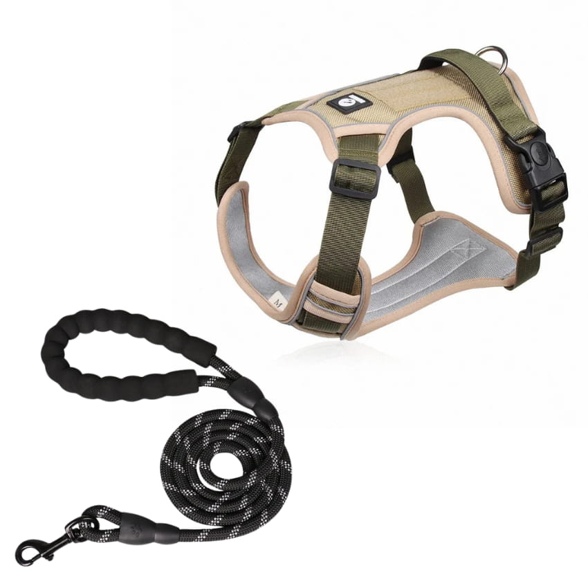 EXPLORER™ No-Pull Harness