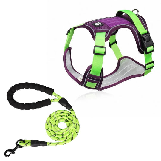 EXPLORER™ No-Pull Harness