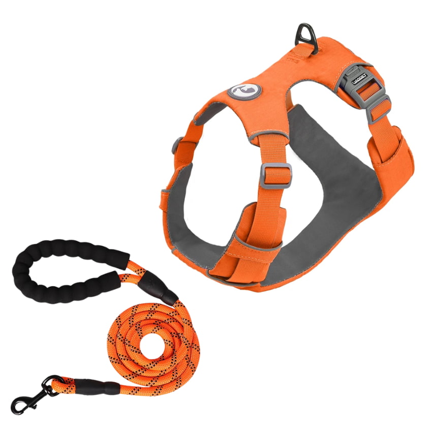 TRAILBLAZER™ Harness