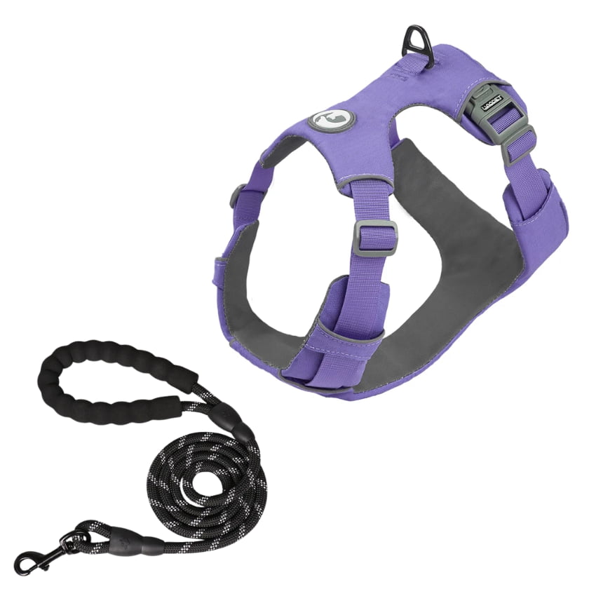 TRAILBLAZER™ Harness