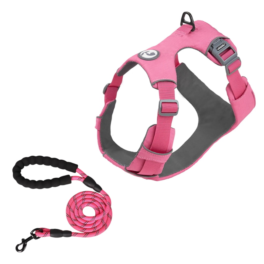 TRAILBLAZER™ Harness