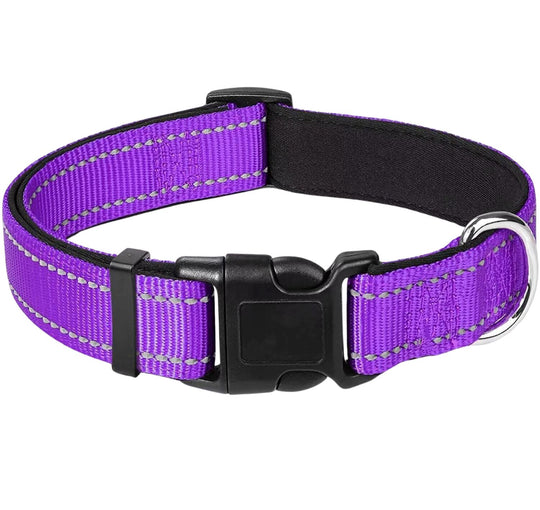 Reflective Nylon Collar One Paw Dog Company Purple 12-16"(30-40cm) 