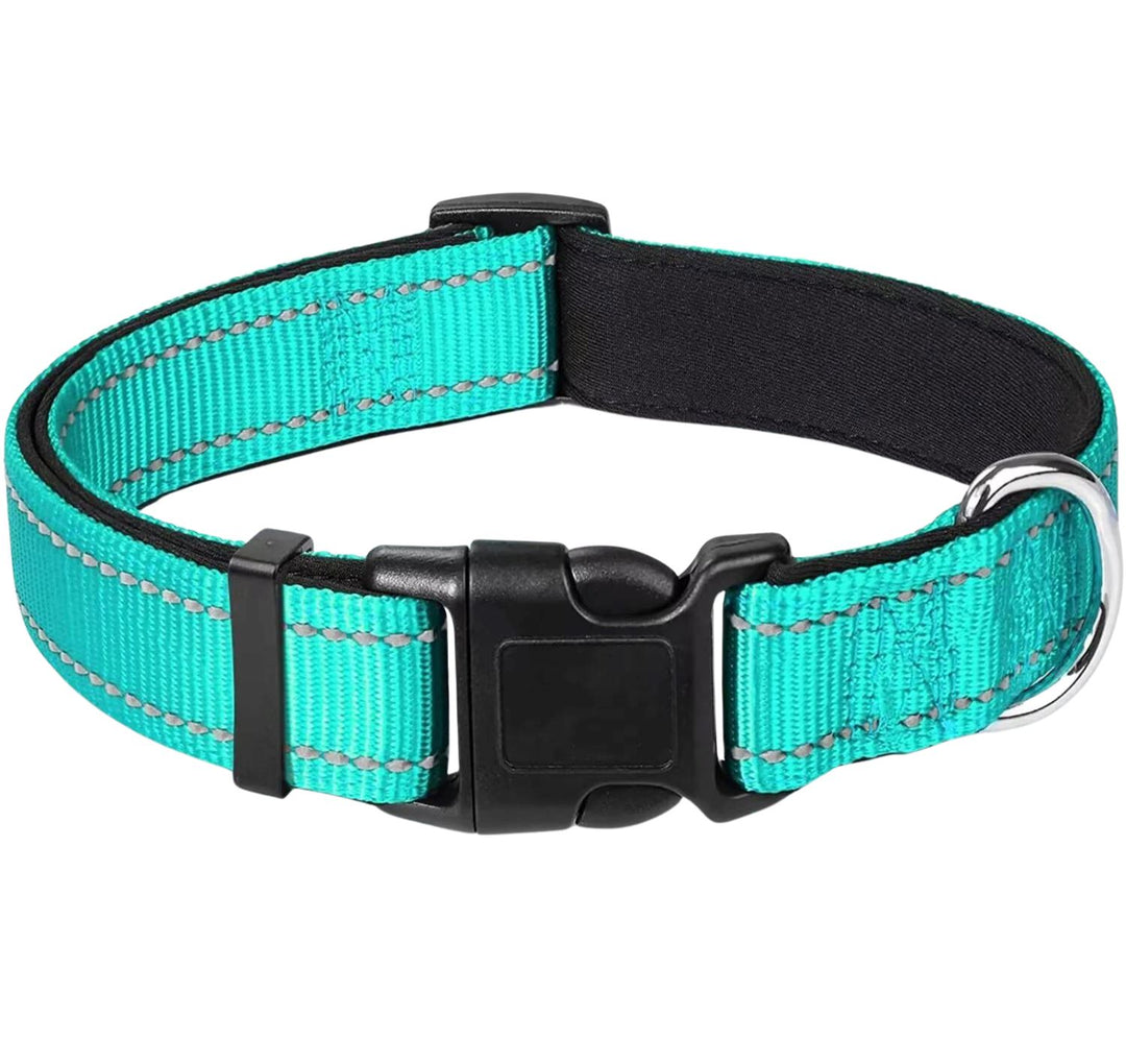 Reflective Nylon Collar One Paw Dog Company Teal 12-16"(30-40cm) 