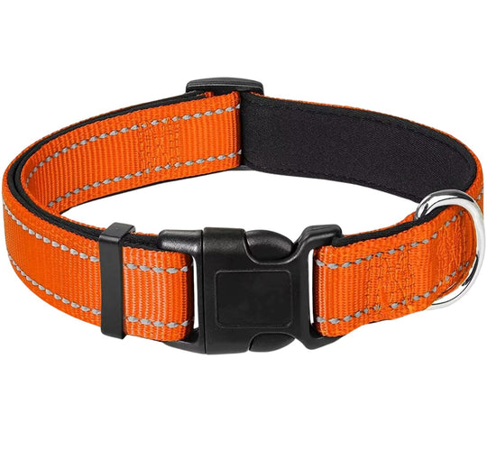 Reflective Nylon Collar One Paw Dog Company Orange 12-16"(30-40cm) 