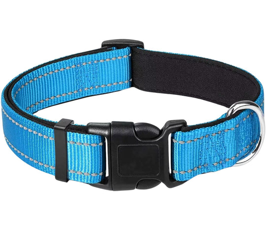 Reflective Nylon Collar One Paw Dog Company Blue 12-16"(30-40cm) 