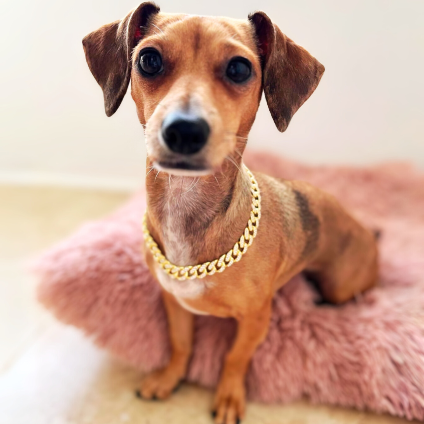 Diamond Chain Collar