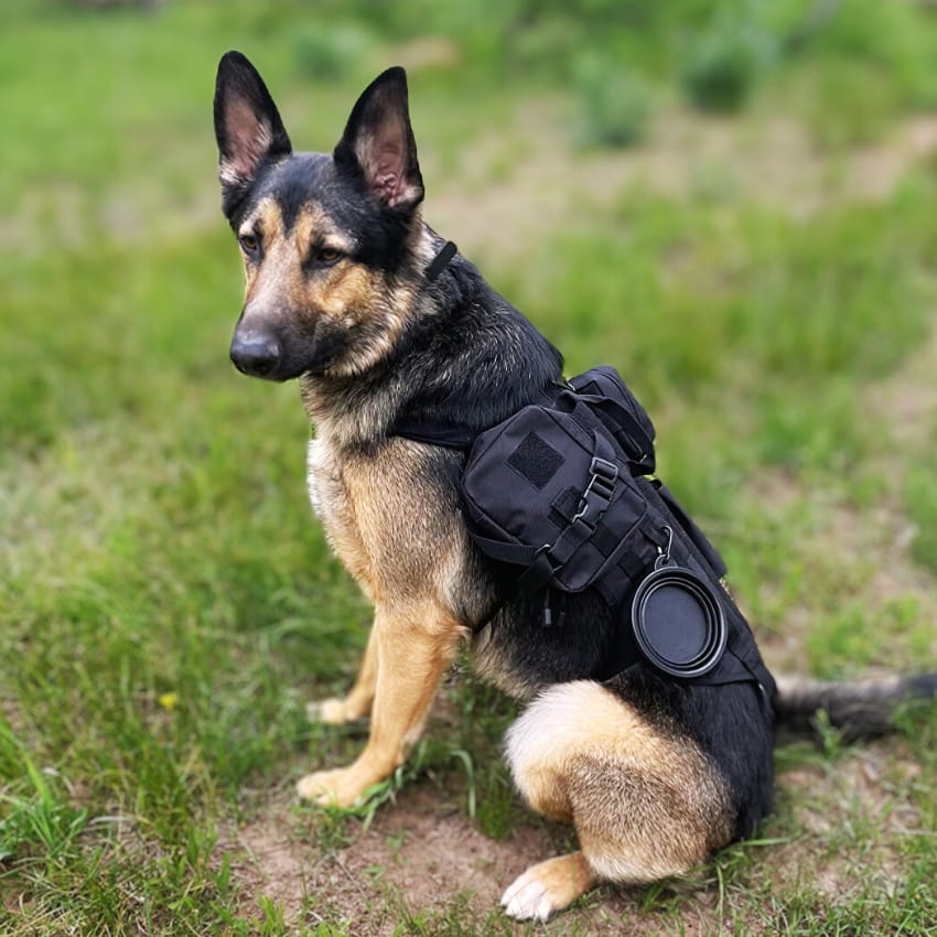 SIDEKICK™ Harness