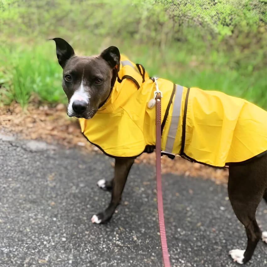 STORMSHIELD™ Rain Jacket