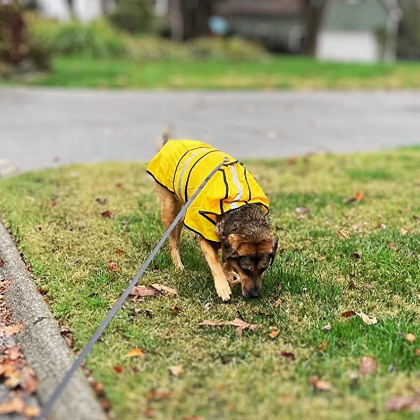 STORMSHIELD™ Rain Jacket 