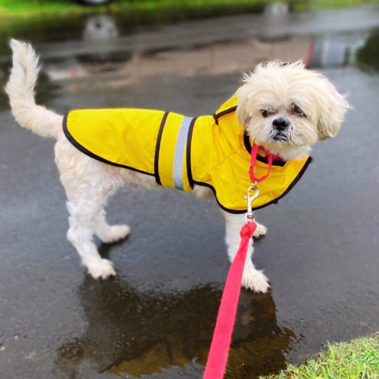 STORMSHIELD™ Rain Jacket 