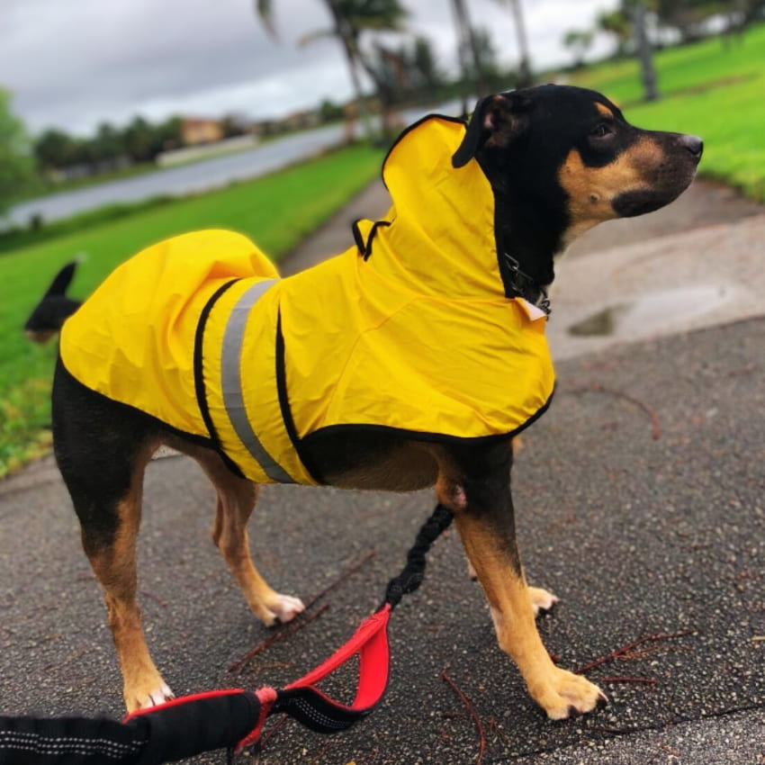 STORMSHIELD™ Rain Jacket 