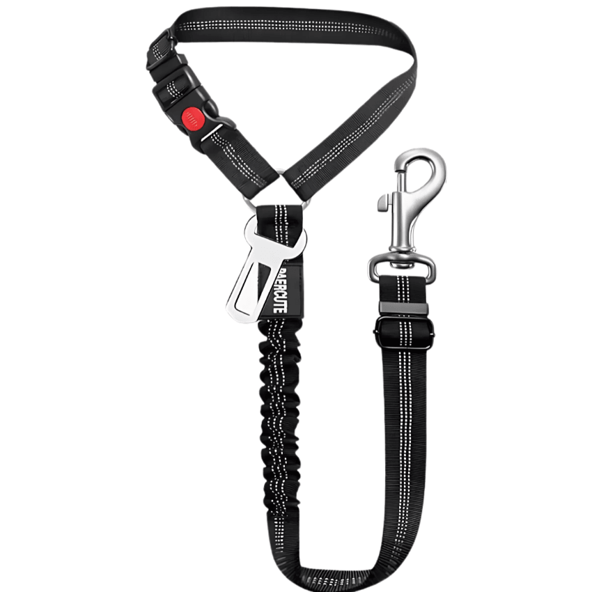 Adjustable Clip-In Dog Seat Belt 