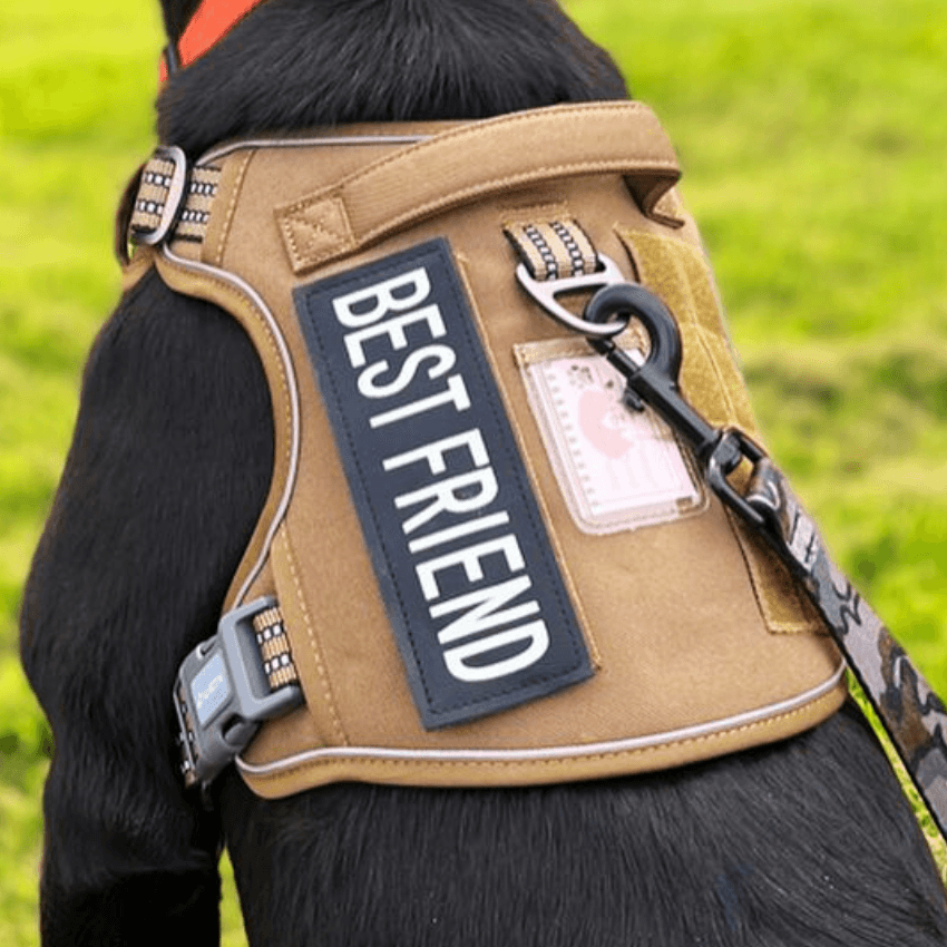 COMMANDER™ No-Pull Harness 