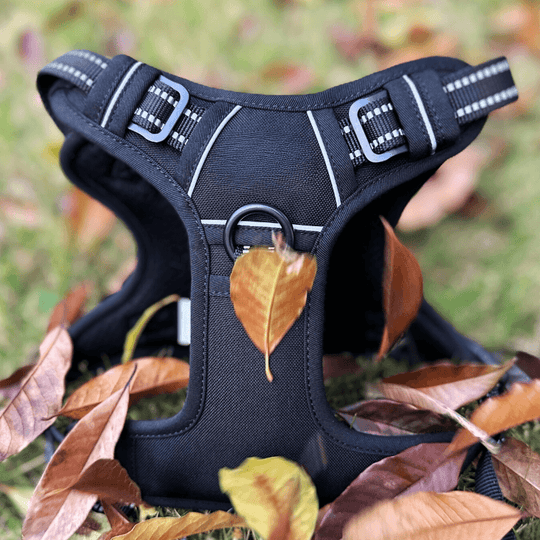 COMMANDER™ No-Pull Harness 