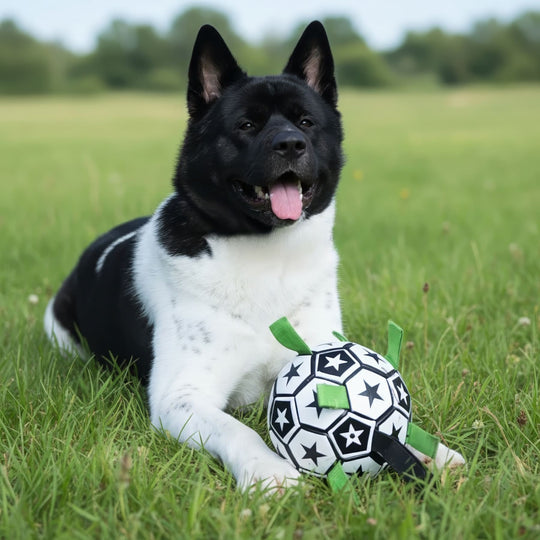 Interactive Soccer Ball