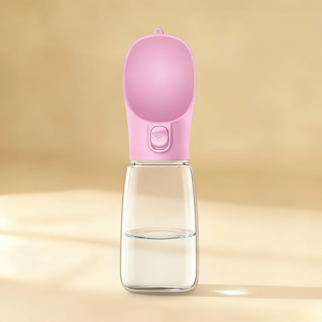 Portable Water Bottle