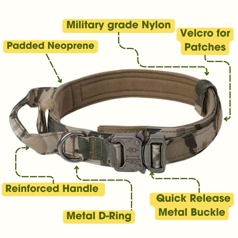 Velcro Collar with D Ring