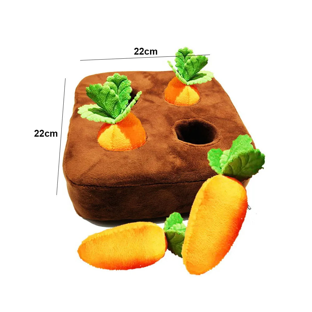 Carrot Farm Toy
