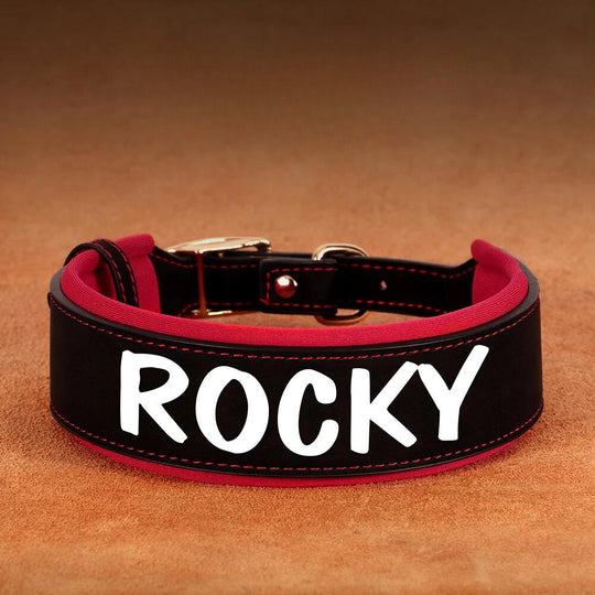 Personalized Leather Padded Collar