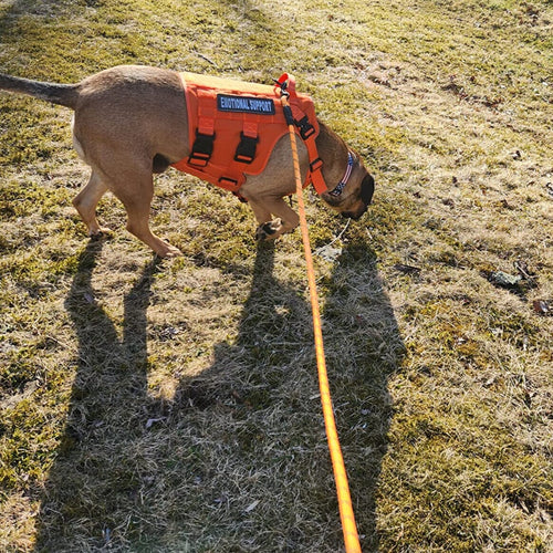 Reflective Leash With Padded Handle One Paw Dog Company 
