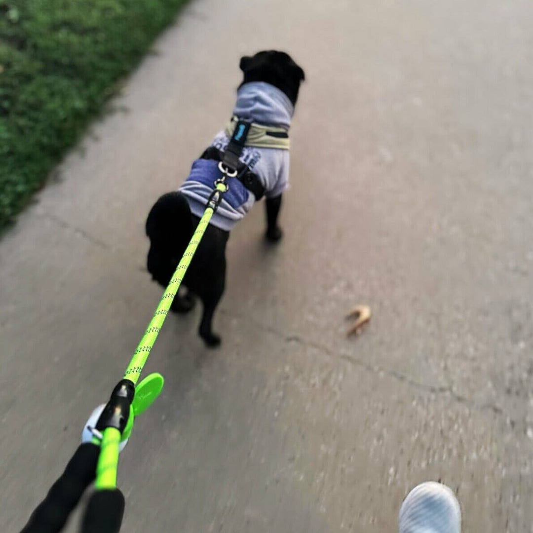 Reflective Leash With Padded Handle One Paw Dog Company 