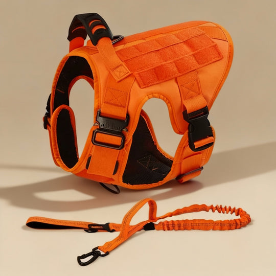 RECON™ Harness & Tactical Set