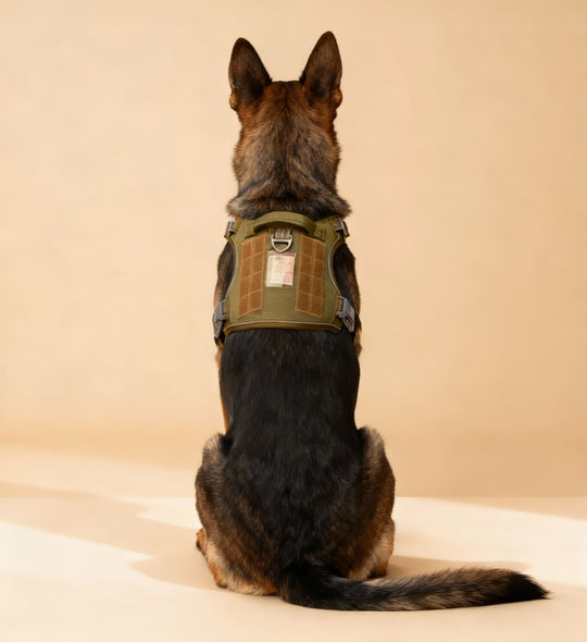 #finish_forest-green