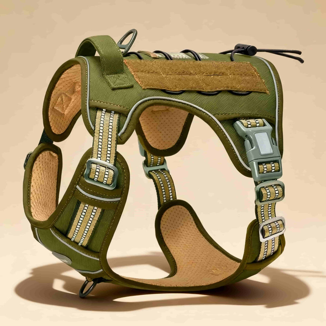 #finish_forest-green