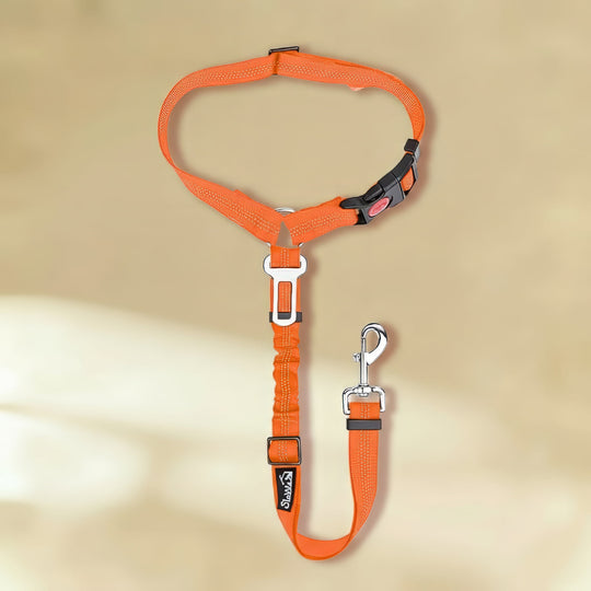 Clip-In Dog Seat Belt