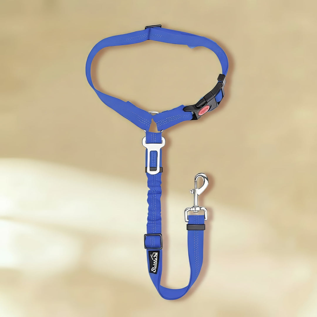 Clip-In Dog Seat Belt