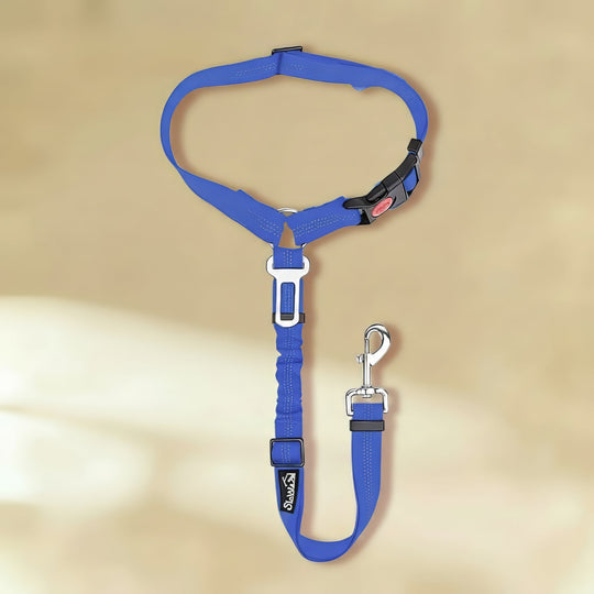 Clip-In Dog Seat Belt