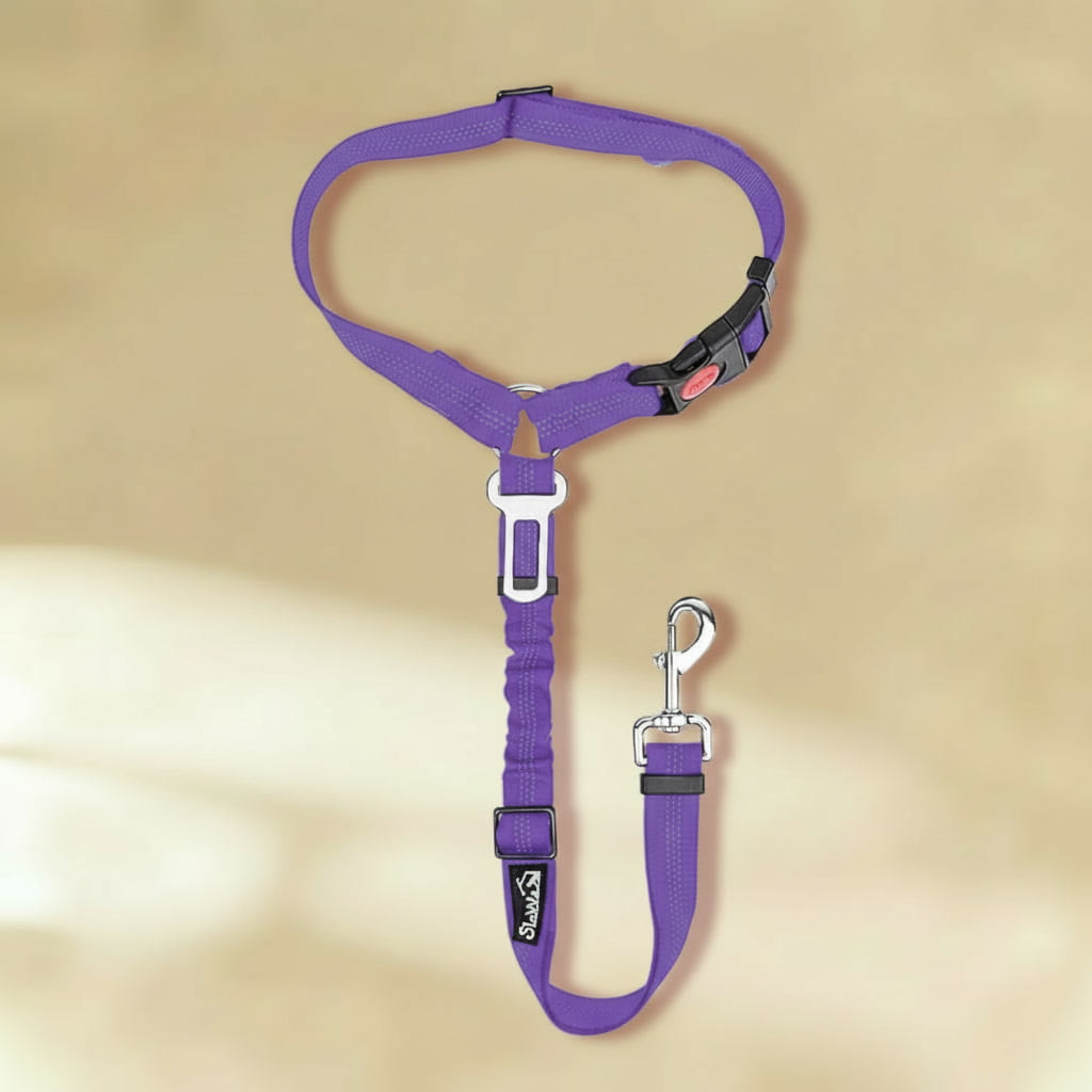 Clip-In Dog Seat Belt