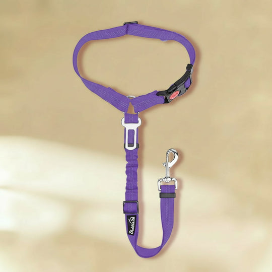 Clip-In Dog Seat Belt