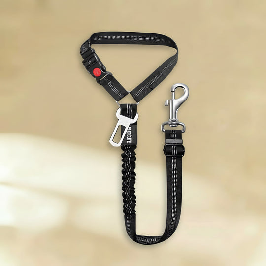 Clip-In Dog Seat Belt