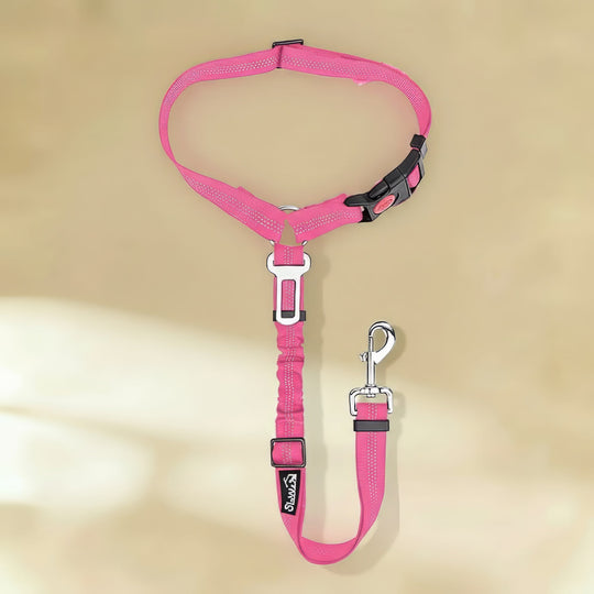 Clip-In Dog Seat Belt