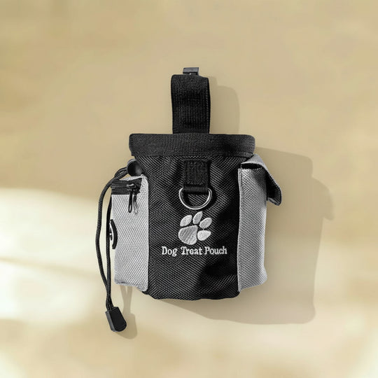 Training Treat Pouch