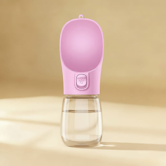 Portable Water Bottle